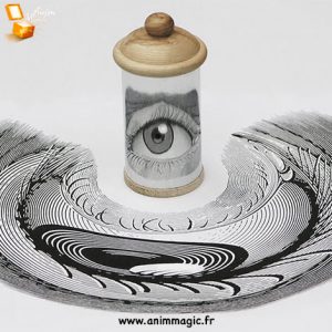Lire la suite à propos de l’article des Illusions d’optiques pour accueillir vos invités…une animation unique à Lyon