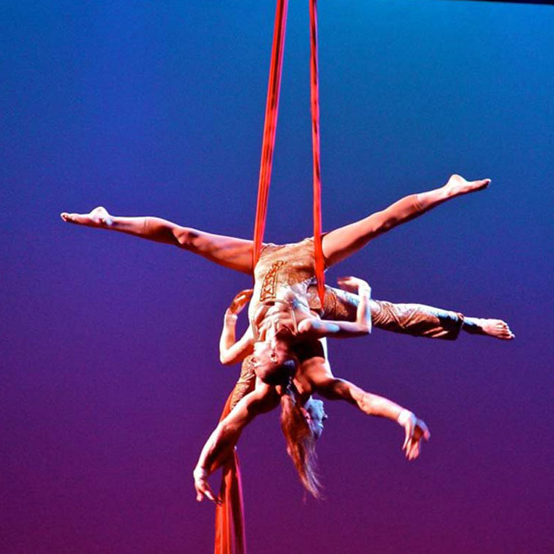 Des acrobaties spectaculaires et fabuleuses s'enchaînent les unes après les autres animant toute la salle de Grenoble. Animmagic danseuse sur tissus Lyon.