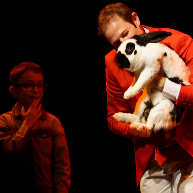 Un magicien tenant un lapin rejoint par un jeune enfant vu par les spectateurs. Ce divertissement occasionnel à Annecy bien développé et adapté est apprécié par tous les genres de public. Anim'Magic animation de goûter de Noël Lyon.