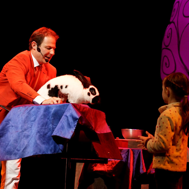  Un magicien produit un tour de magie spectaculaire faisant plaisir à un enfant, son entourage excité et joyeux l'acclame,  tout cela en Savoie. Animmagic spectacle et animations clé en main pour Noël.    